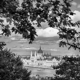 Budapest black and white by Manfred Voss, Black-White Photography