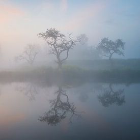 Ochtend reflecties van Raoul Baart