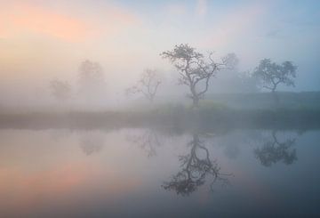 Dawn reflections by Raoul Baart