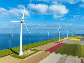 Tulips in agricultural fields with wind turbines in the background by Sjoerd van der Wal Photography