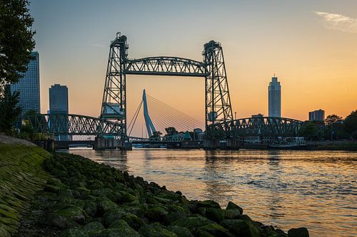 Sunset Rotterdam bridges