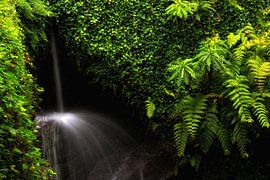 Hidden waterfall by Thomas Herzog