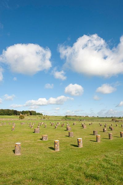 Woodhenge van Richard Wareham
