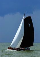 Skutsje zeilen bij Stavoren