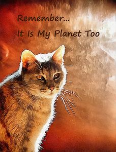 Denkt daran: Es ist auch mein Planet