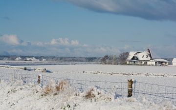 Texel in de sneeuw van Peter Schoo - Natuur & Landschap