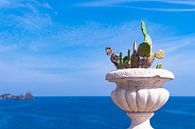 Sicilian sea view by Jan Van Bizar thumbnail