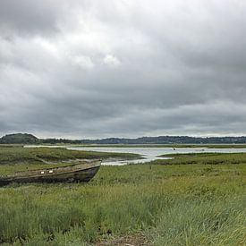 Scheepswrak in het moeras van Ward Denckens