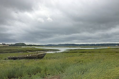 Scheepswrak in het moeras