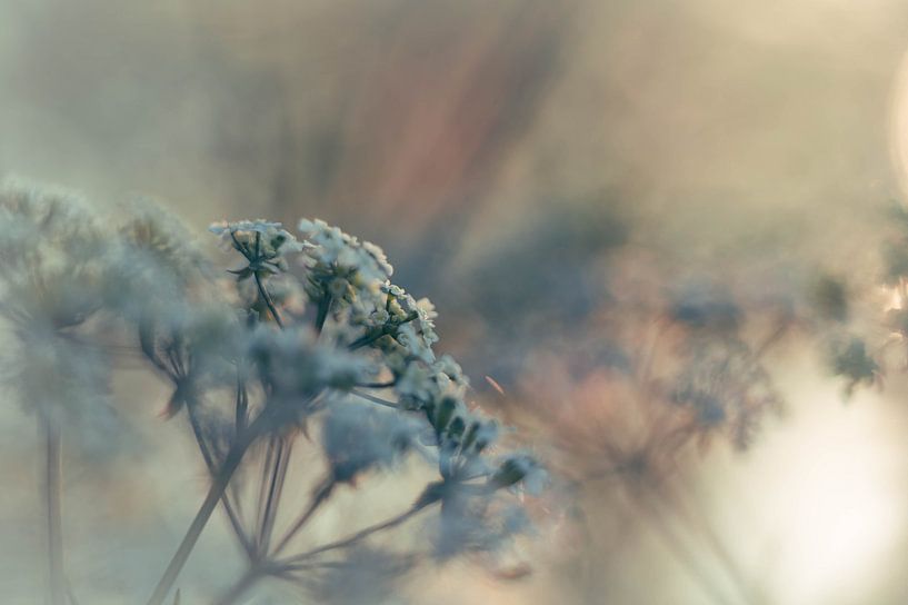 Countryside part 42 by Tania Perneel