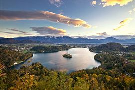 Bled sur René Pronk