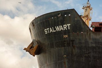 De boeg van een zeeschip in de haven van scheepskijkerhavenfotografie