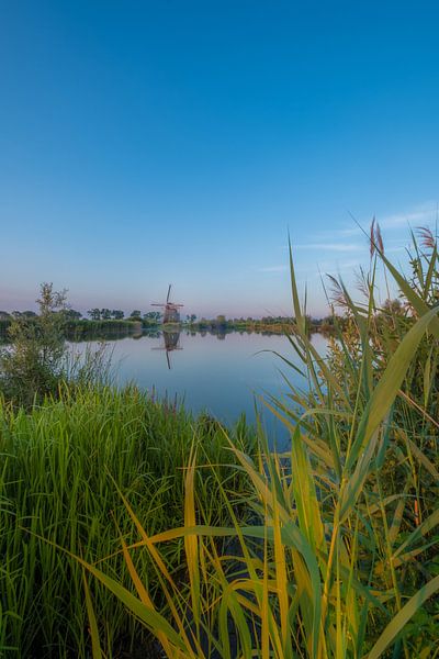 Molen de Steendert von Moetwil en van Dijk - Fotografie