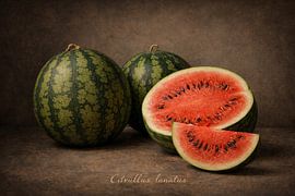 Watermelon by Bert Quaedvlieg