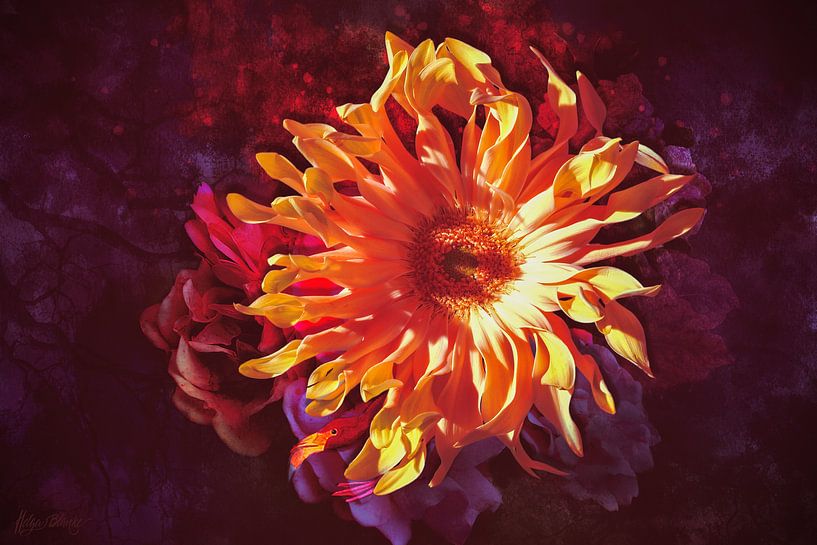Gerbera aux feuilles frisées et oiseau exotique par Helga Blanke