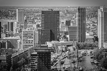 Skyline Leuvehaven Rotterdam (zwart-wit)