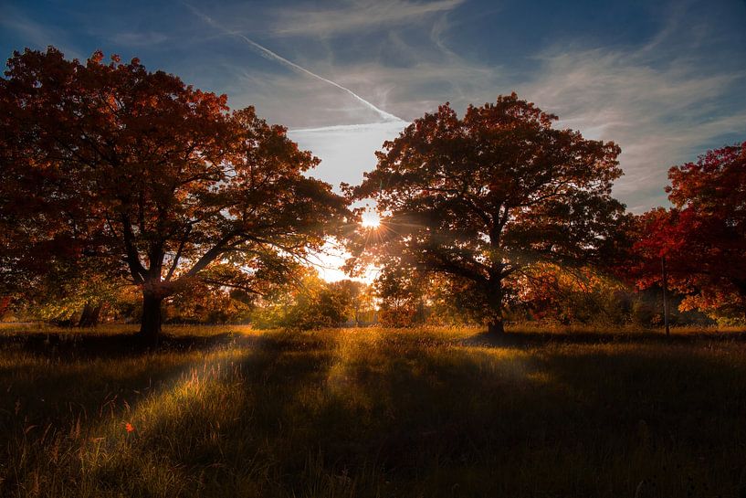 Forêt d'automne par Pixel4ormer