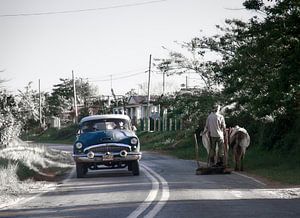 Onderweg, oldtimer en man met ploeg en rund delen het asfalt