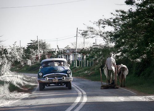 Onderweg, oldtimer en man met ploeg en rund delen het asfalt