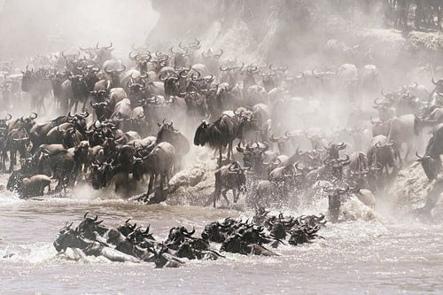 'Chaos' in Africa - Great Migration