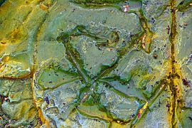 Natures Art 10