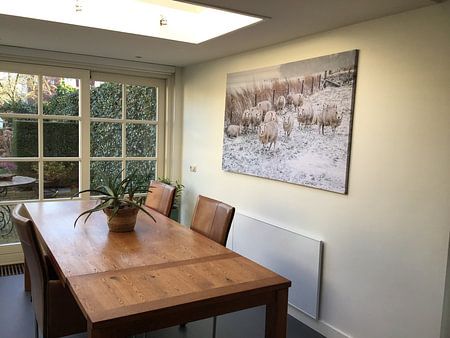 Moutons dans la neige.