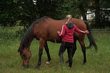 Trakehner Feldmeyer met eigenaar in de wei van Babetts Bildergalerie