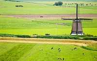 Hollands landschap met molen vanuit de lucht van Paul Teixeira thumbnail