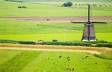 Hollands landschap met molen vanuit de lucht