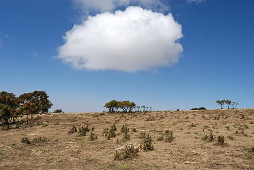 Een Wolkje boven Ethiopië van Eelkje Colmjon