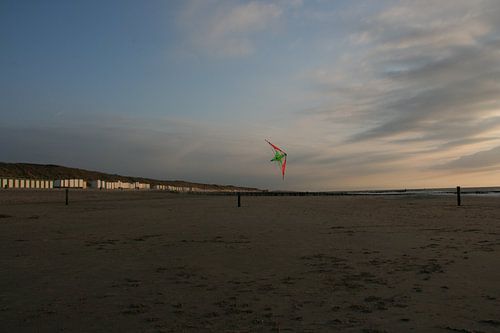 Vlieger boven het strand