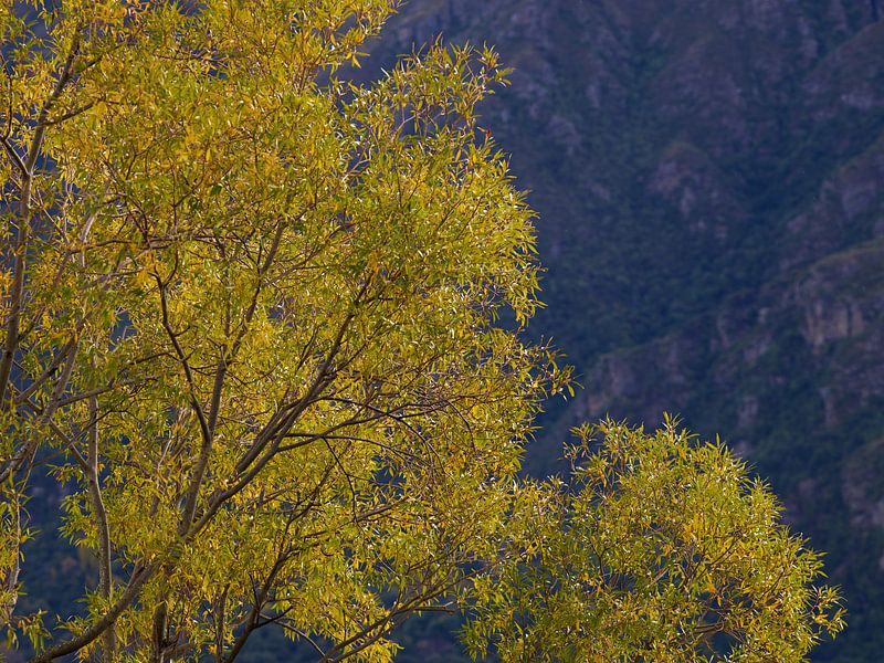 Herbst-Farben von Keith Wilson Photography