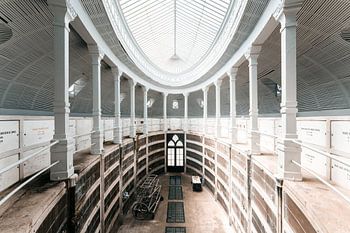 pulvis et umbra sumus