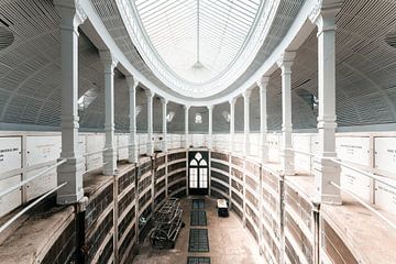 pulvis et umbra sumus