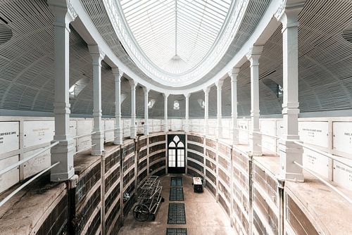 pulvis et umbra sumus