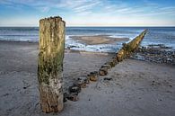 Épisodes en bois altérés sur la plage de la mer Baltique dans le nord de l'Allemagne, paysage de sta par Maren Winter Aperçu