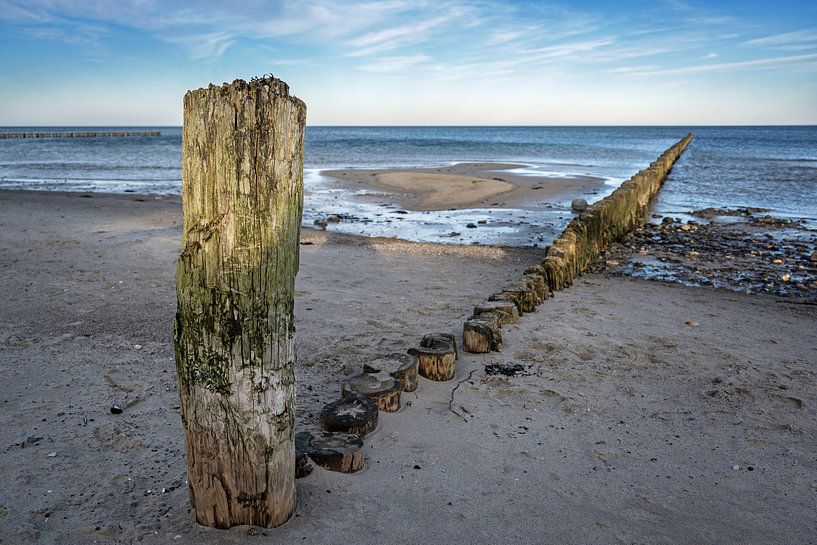Épisodes en bois altérés sur la plage de la mer Baltique dans le nord de l'Allemagne, paysage de sta par Maren Winter