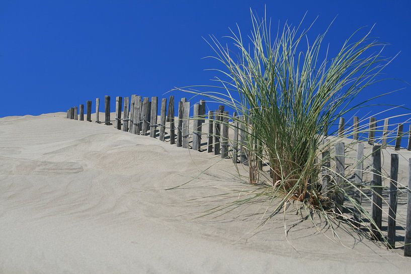 Duinen by Marcel Brands