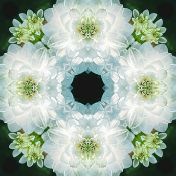 Witte bloemen mandala van Yanuschka Fotografie | Noordwijk