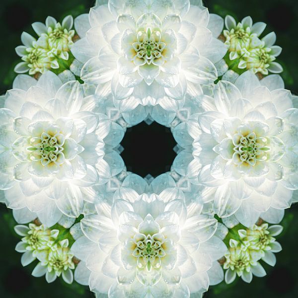 White flowers mandala by Yanuschka | Fotografie Noordwijk