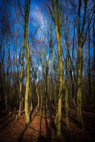 Bruin, Groen en Blauw