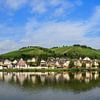 Moezel panorama op een zomerochtend met wolken van Dennis van de Water
