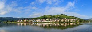 Panorama de la Moselle par un matin d'été avec des nuages