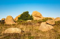 Felsen in der Bretagne van Rico Ködder thumbnail