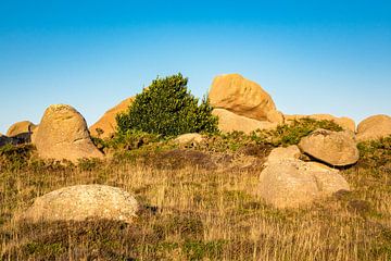 Rocks in the Brittany van Rico Ködder