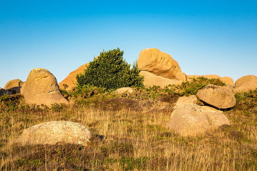 Felsen in der Bretagne van Rico Ködder