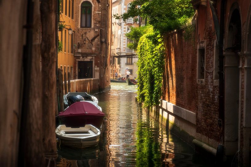 Venice by Hello Pompoyo