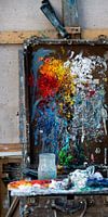 Color Palette