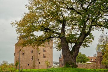 Duizendjarige Eik van Gert van Eck