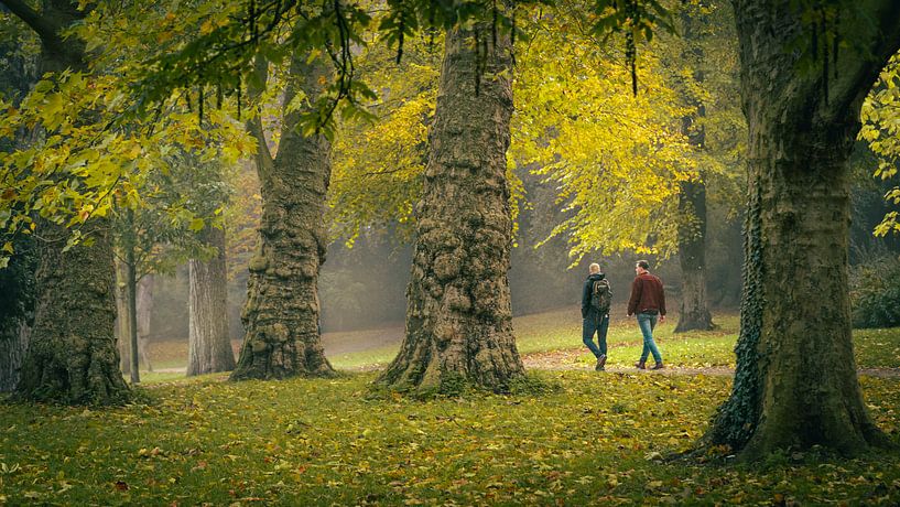 Spaziergang durch den Park/Wald Noorderplantsoen von Hessel de Jong
